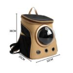 transporteur pour chat pratique