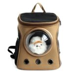 sac à dos ventilé pour chat