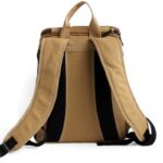 chat dans un sac à dos de voyage
