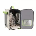 MrKing chat transport
