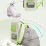Chat voyage sac