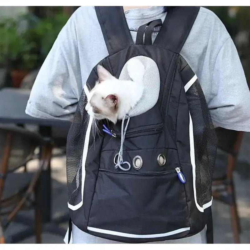 sac à dos voyage pour chien