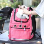 sac à dos ajustable pour chien