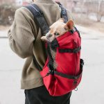 sac voyage pour chien