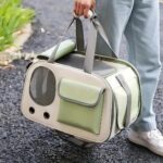 confort chat en déplacement