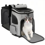 chat dans le sac Cocoon