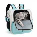 voyage pratique chat